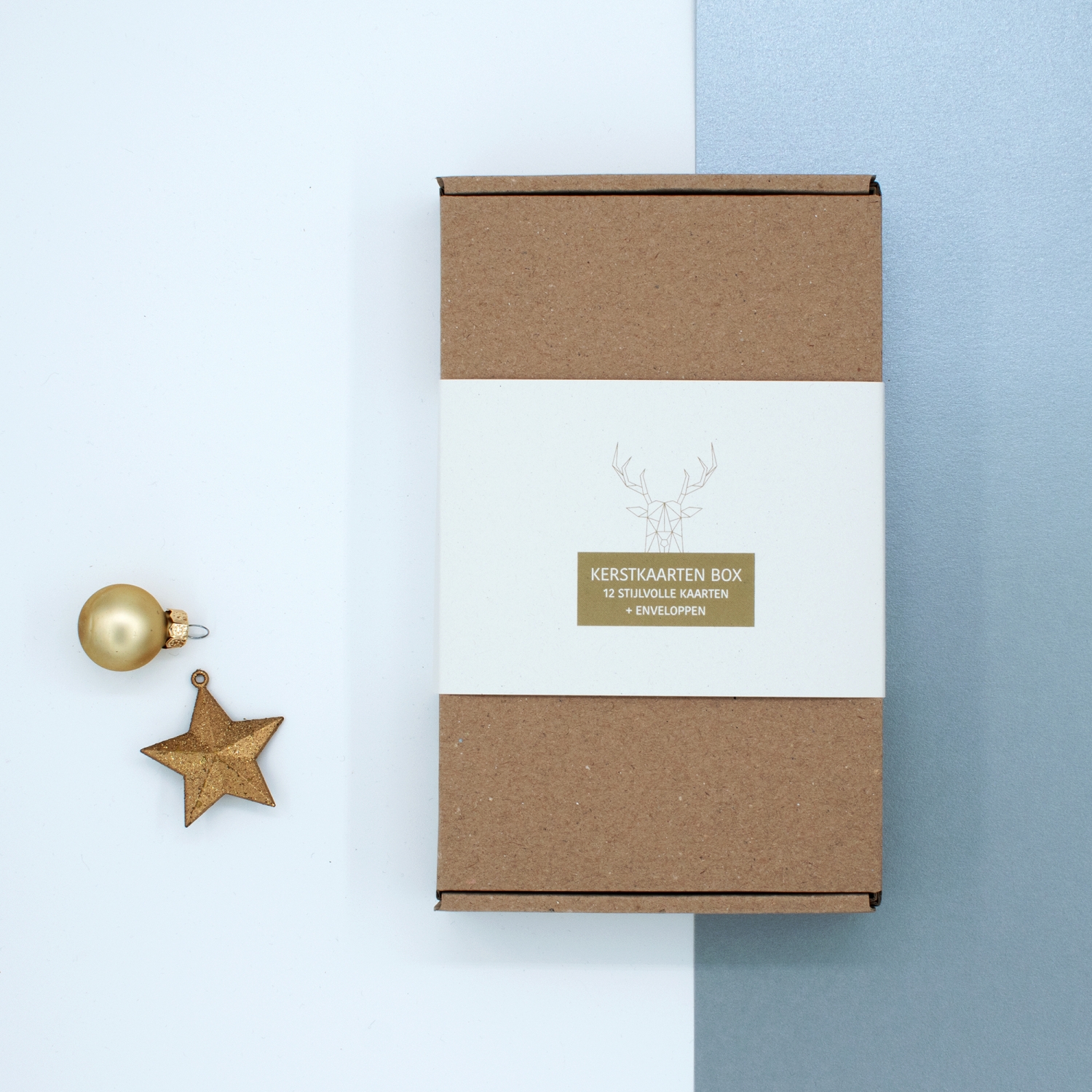 Kerstkaarten Box Trendy 12 stuks + enveloppen Combidee